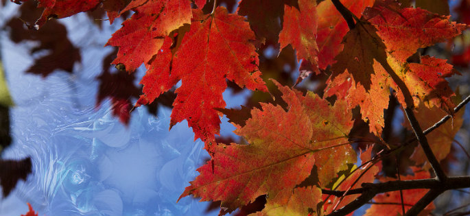 Happy “Oktober” From All Of Us At Oktopost!