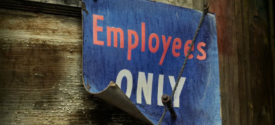 6 Steps To Launching An Employee Advocacy Program