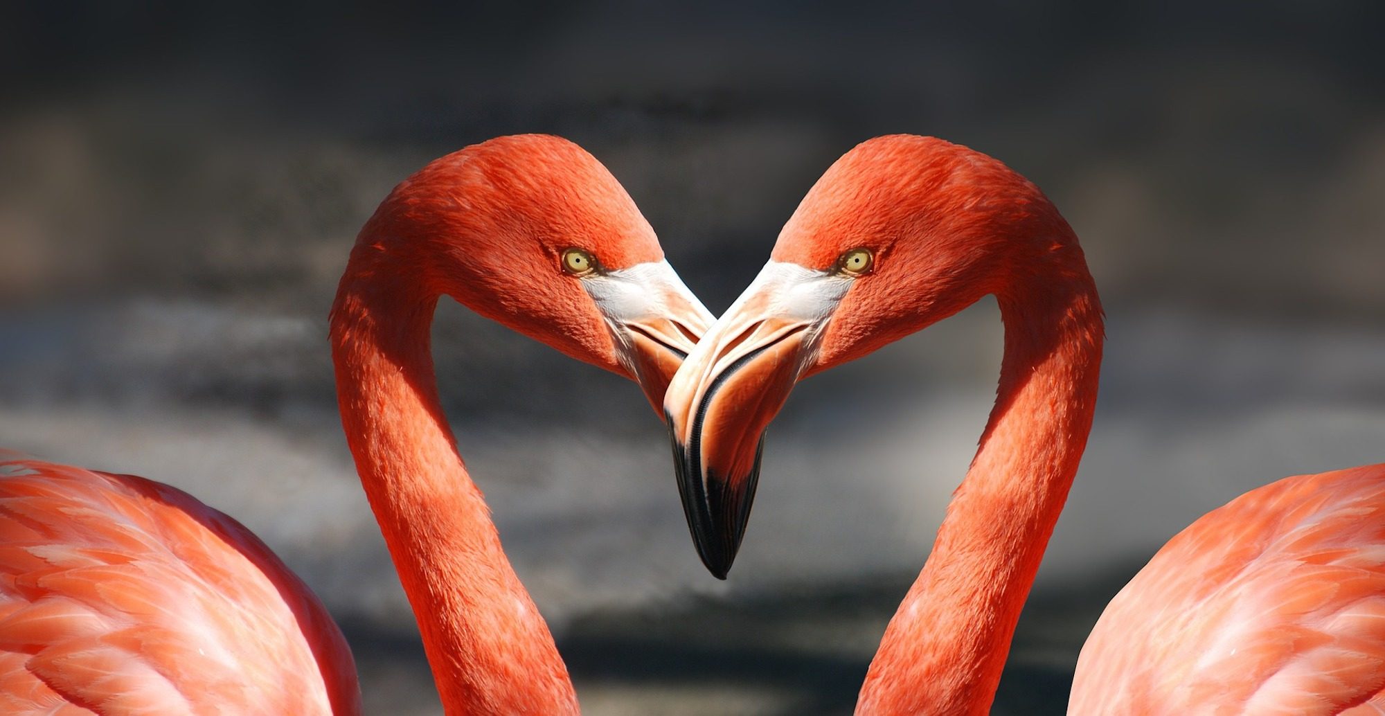 12 Ways to Write Engaging Social Posts That Audiences Will Love
