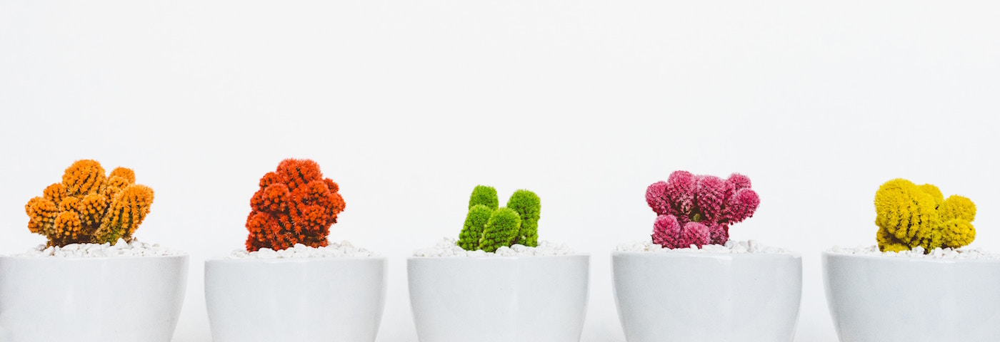 Do More with Less: The Art of Repurposing Content